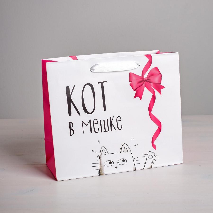 Пакет подарочный 27 × 23 × 8 см "Кот в мешке", ламинированный горизонтальный