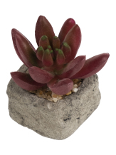 Декоративное искусственное растение "Красный Суккулент", в кашпо из бетона, 8х5,5х5,5см