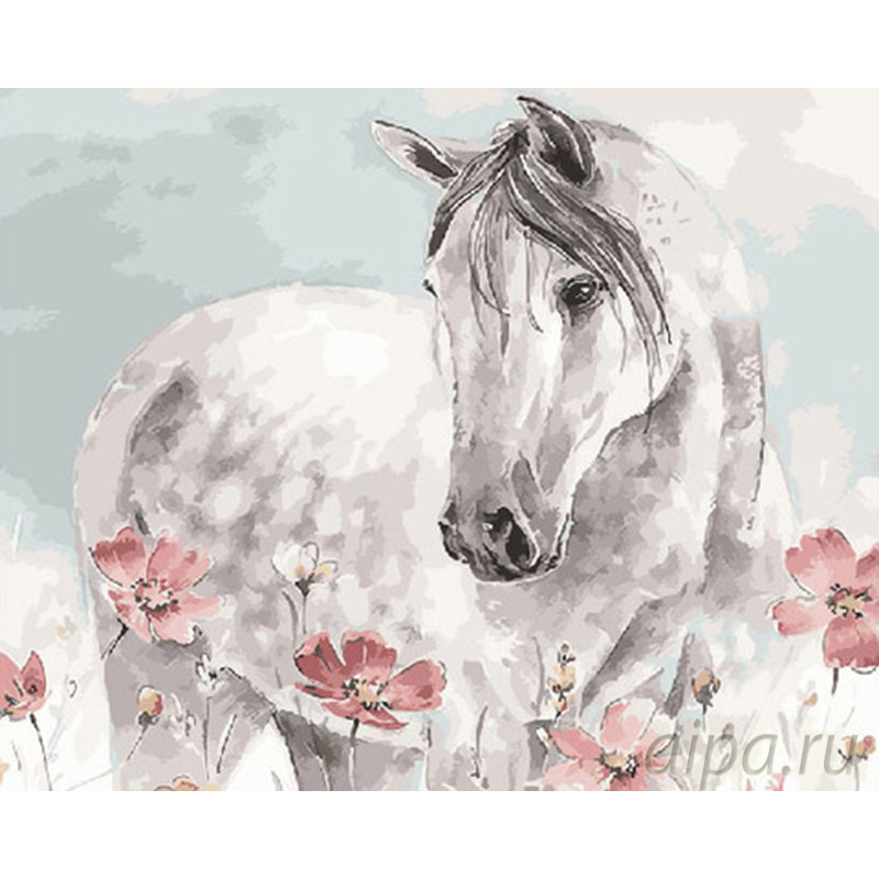 Картина по номерам "Белая лошадь", 40х50 см