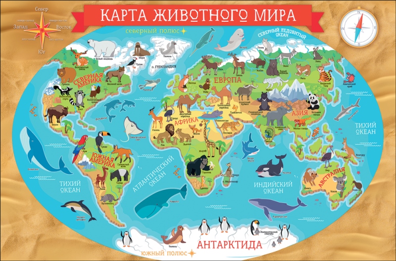 Плакат "Карта животного мира"