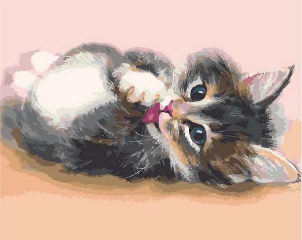 Картина по номерам "Милый котенок" 40х50 см премиум