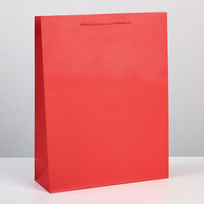Пакет подарочный 31х40х11,5 см "Красный" 