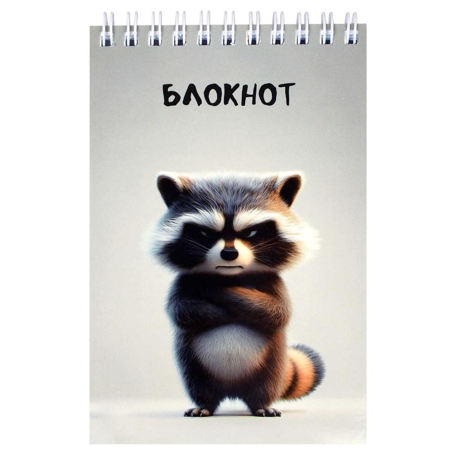 Блокнот А5 96 л, Сердитый енот.