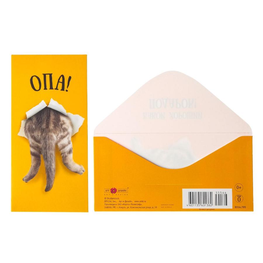 Открытка-конверт "Опа!" кот