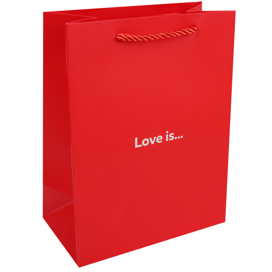 Пакет подарочный 18х23х10 см "Love is"