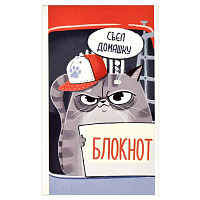 Блокнот А6 40 л, Кот-нарушитель