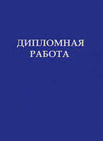 Дипломная работа с рамкой 80 л.