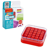 Игра-головоломка  "IQ-КЕЙС",  для детей  красный цвет