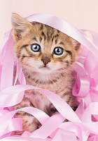 Мозаика алмазная "Котенок в розовых лентах", 20х30, част.запол, без подрамника