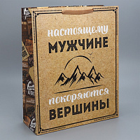 Пакет подарочный 40 × 49 × 15 см «Для настоящего мужчины», ламин