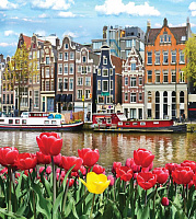 Картина по номерам "Цветущая Голландия" 20х30 см, на картоне