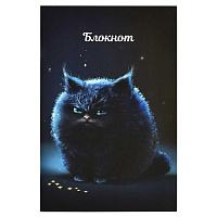 Блокнот 120х185 см, 40 л Недовольный кот.
