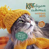 Адвент-календарь "Котоворот событий ", 2025г