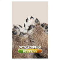Блокнот А5 40 л слейка, Лапки