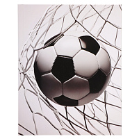 Дневник 1-11 класс твёрдый "Гол Football monochrome"