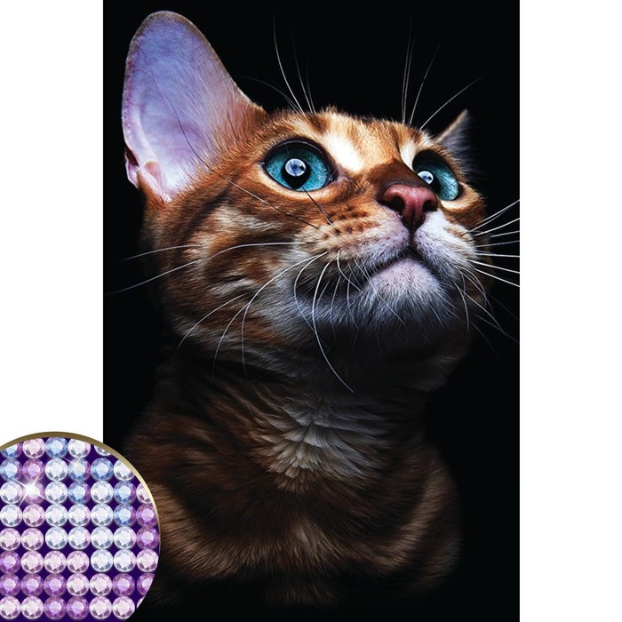 Алмазная вышивка с частичным заполнением "Взгляд кошки" 20*30 см на холсте 